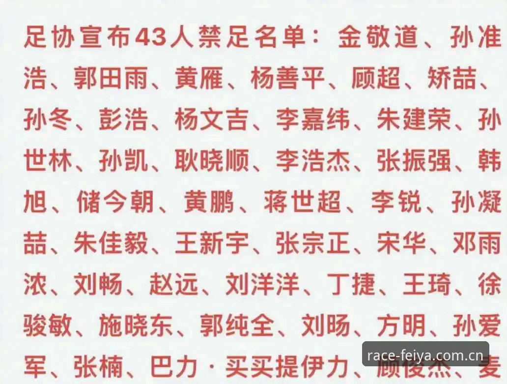 飞亚体育怎么下载使用指南 中国足协第三批禁足名单完整解读指南:了解足球行业最新整顿动态